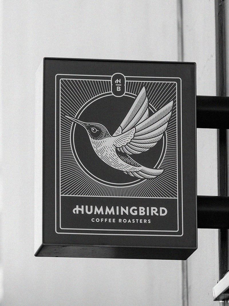 Hummingbird cover