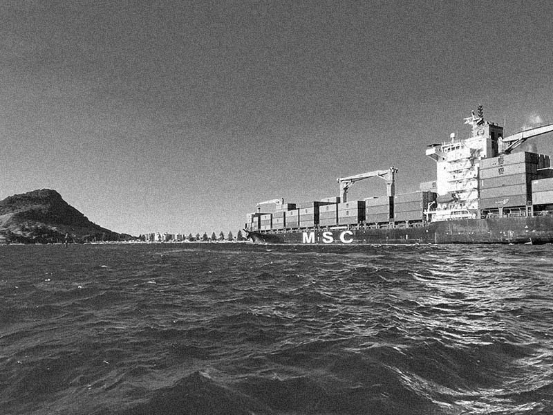 cargo ship mt maunganui