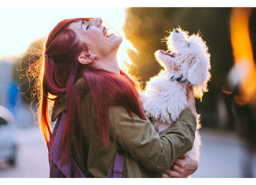 Haz que tu perro sea feliz