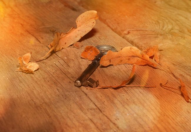 Los suelos de madera a través del tiempo