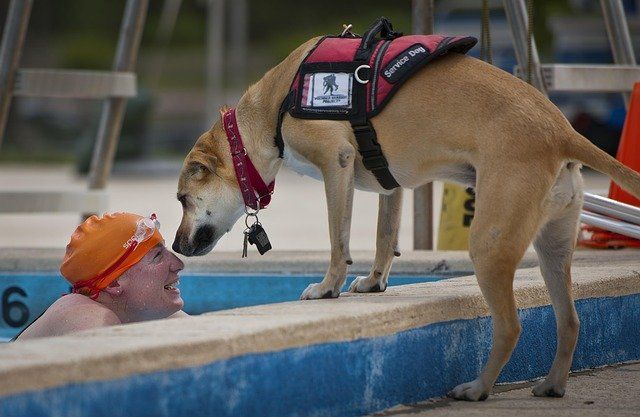 Consejos para mejorar la accesibilidad de tu piscina