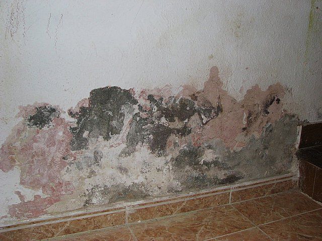 Ventajas de las pinturas antihumedad