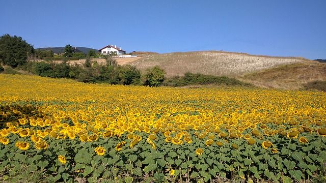 Viajar a Navarra en verano