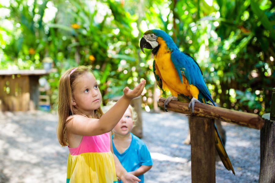 Naturaleza y niños, el tándem perfecto