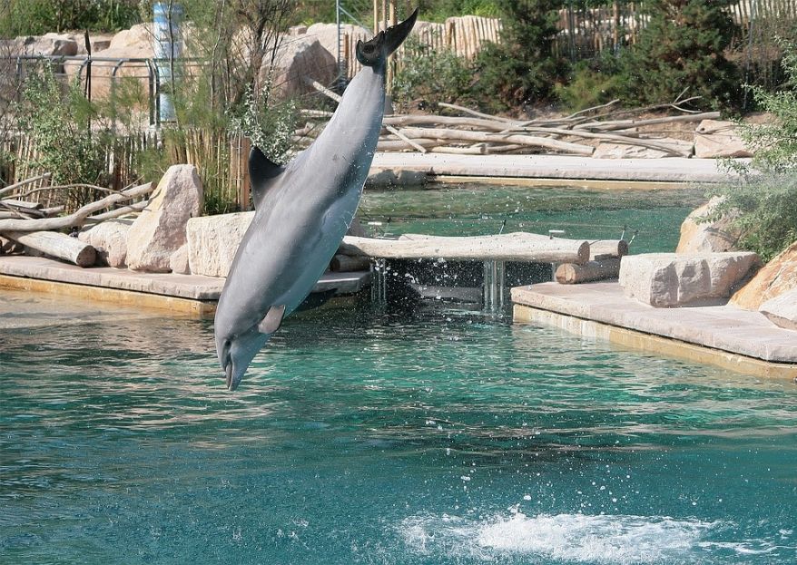 Senda Viva, el zoológico y parque temático de Navarra