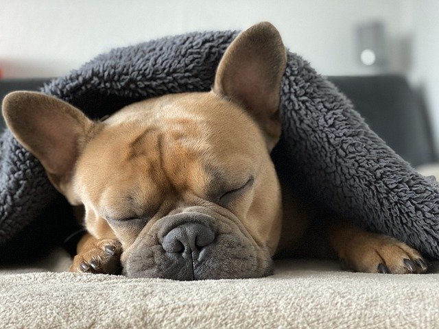 Cómo dormir a pierna suelta cuando hace frío en la casa