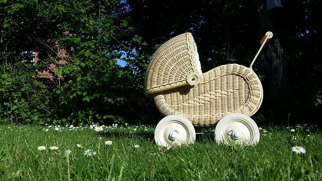 Cómo elegir el carrito de tu bebé