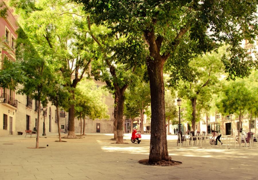 Podar en las alturas