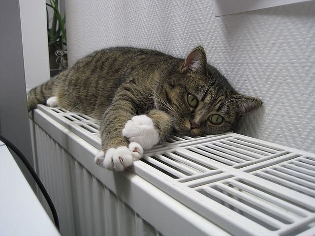 Olvídate del frío en invierno, acondiciona tu hogar