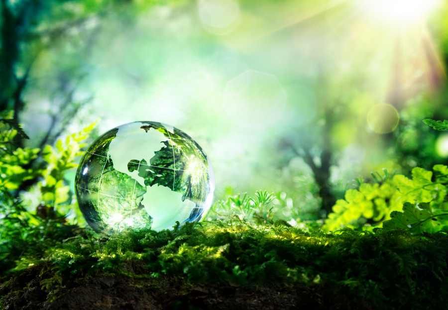 Ventajas de los productos de limpieza ecológicos