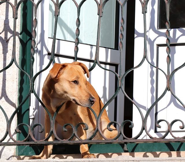 Vallas metálicas en Valencia