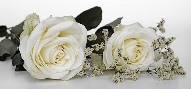 imagen blog
