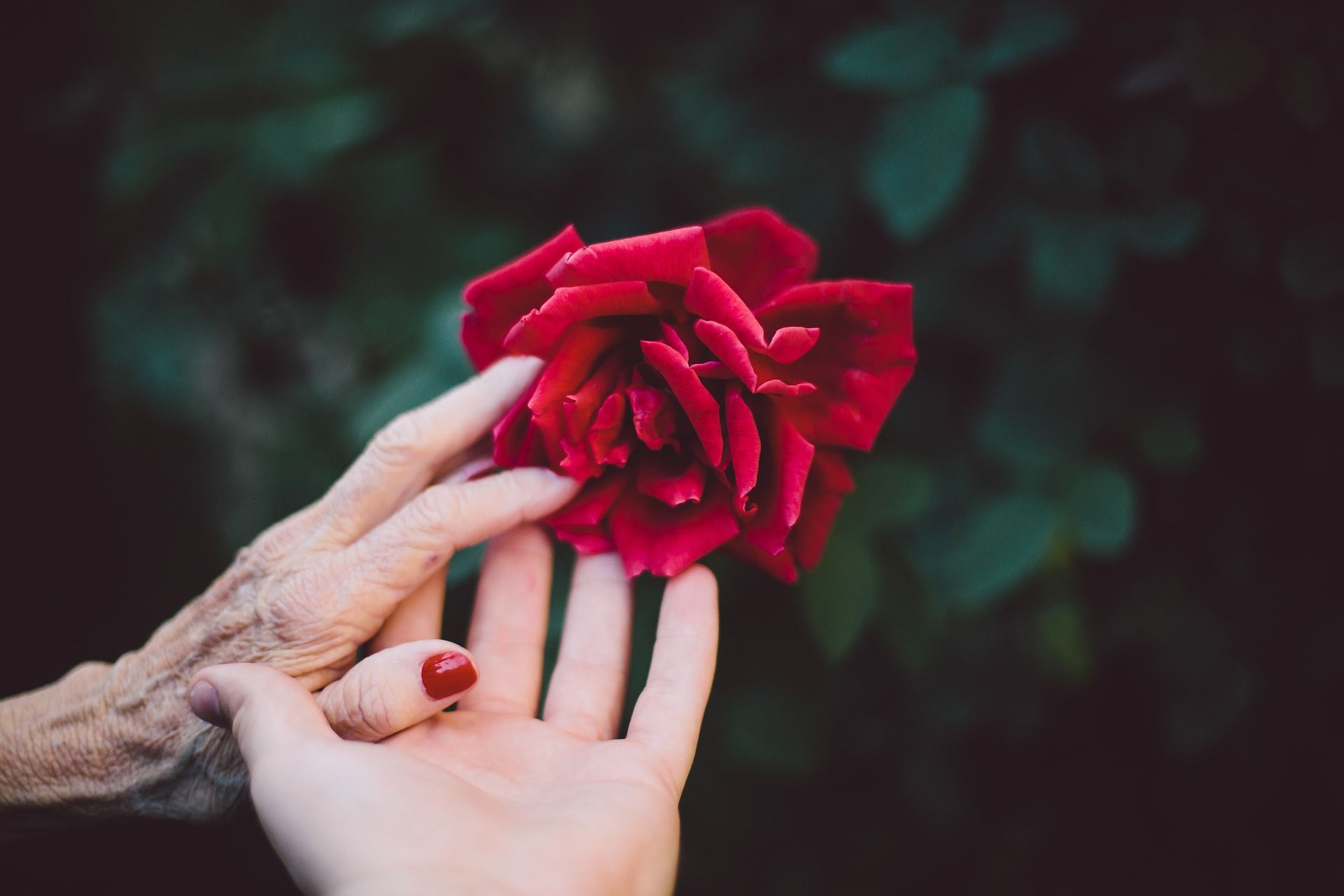 La presencia de jóvenes en las residencias de ancianos