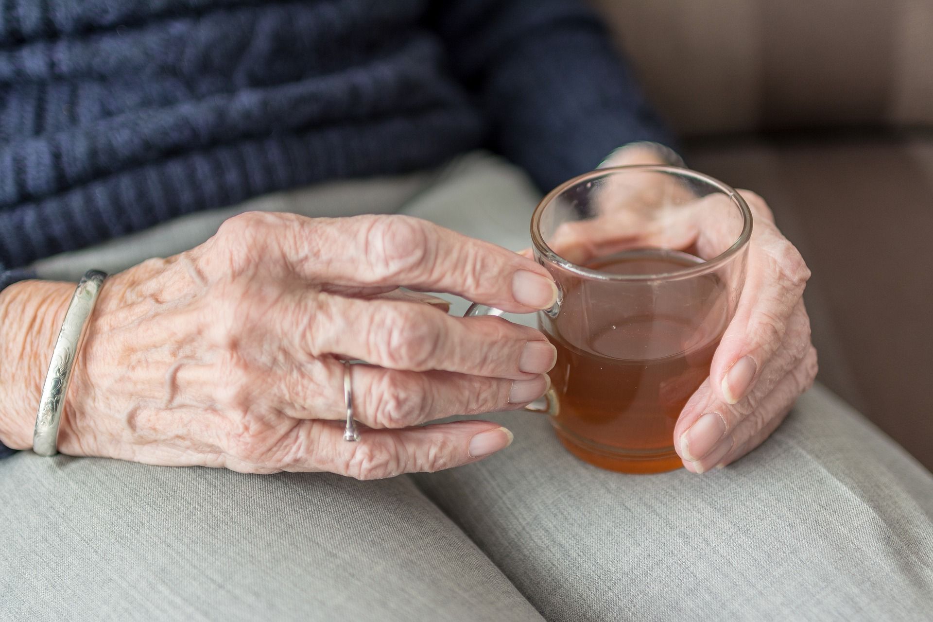 ¿Cuál es la alimentación más recomendada para la tercera edad?