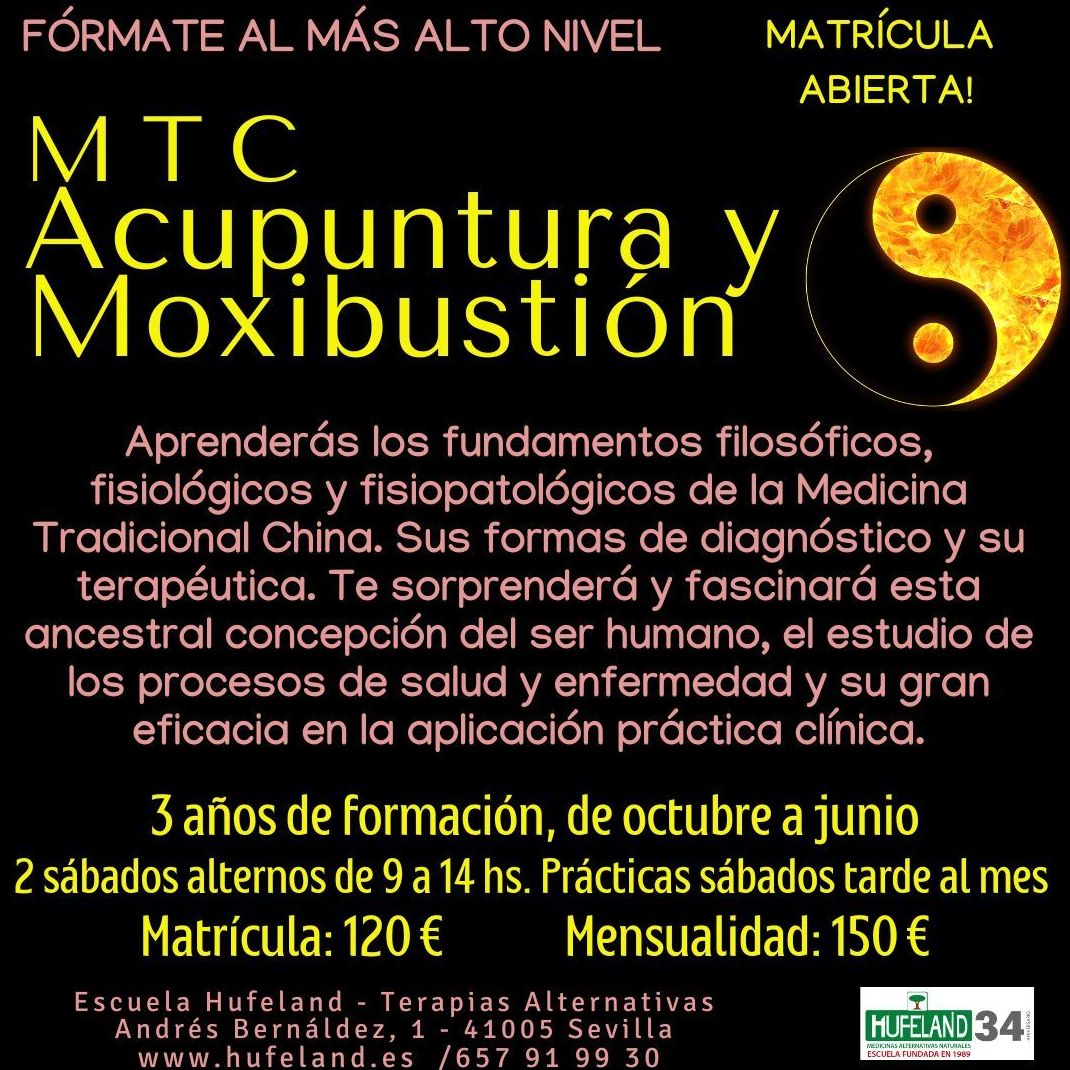 Curso de Acupuntura y Moxibustión