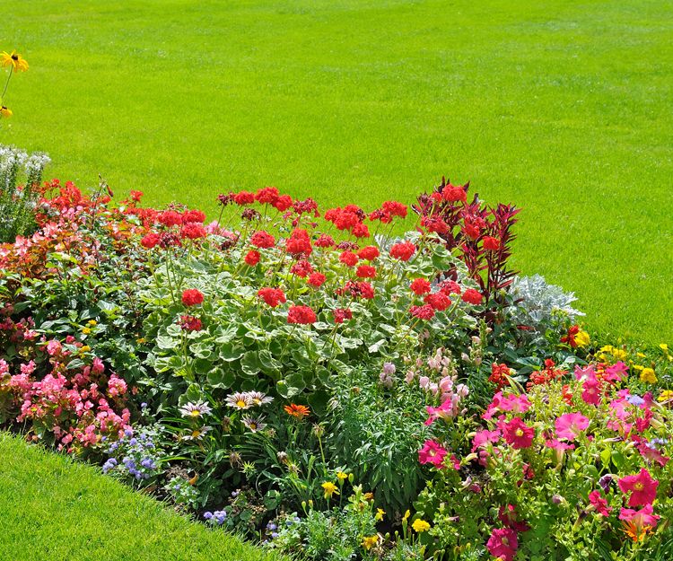 Jardinería en general