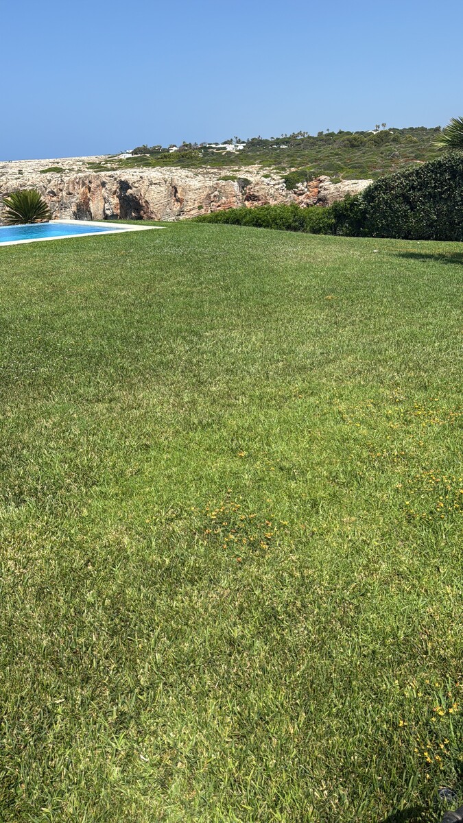 Jardinería en San Luis
