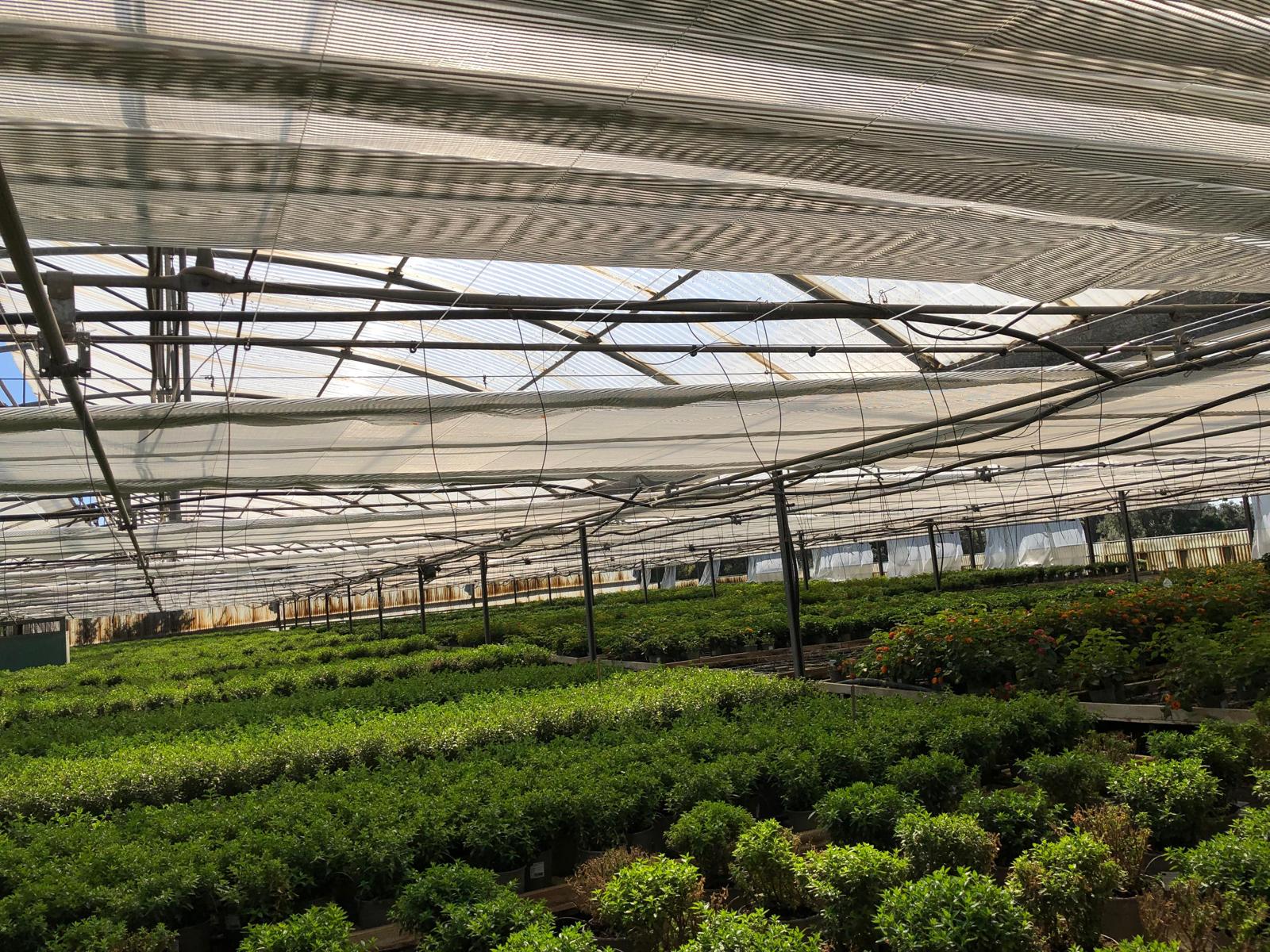 Climatización agrícola