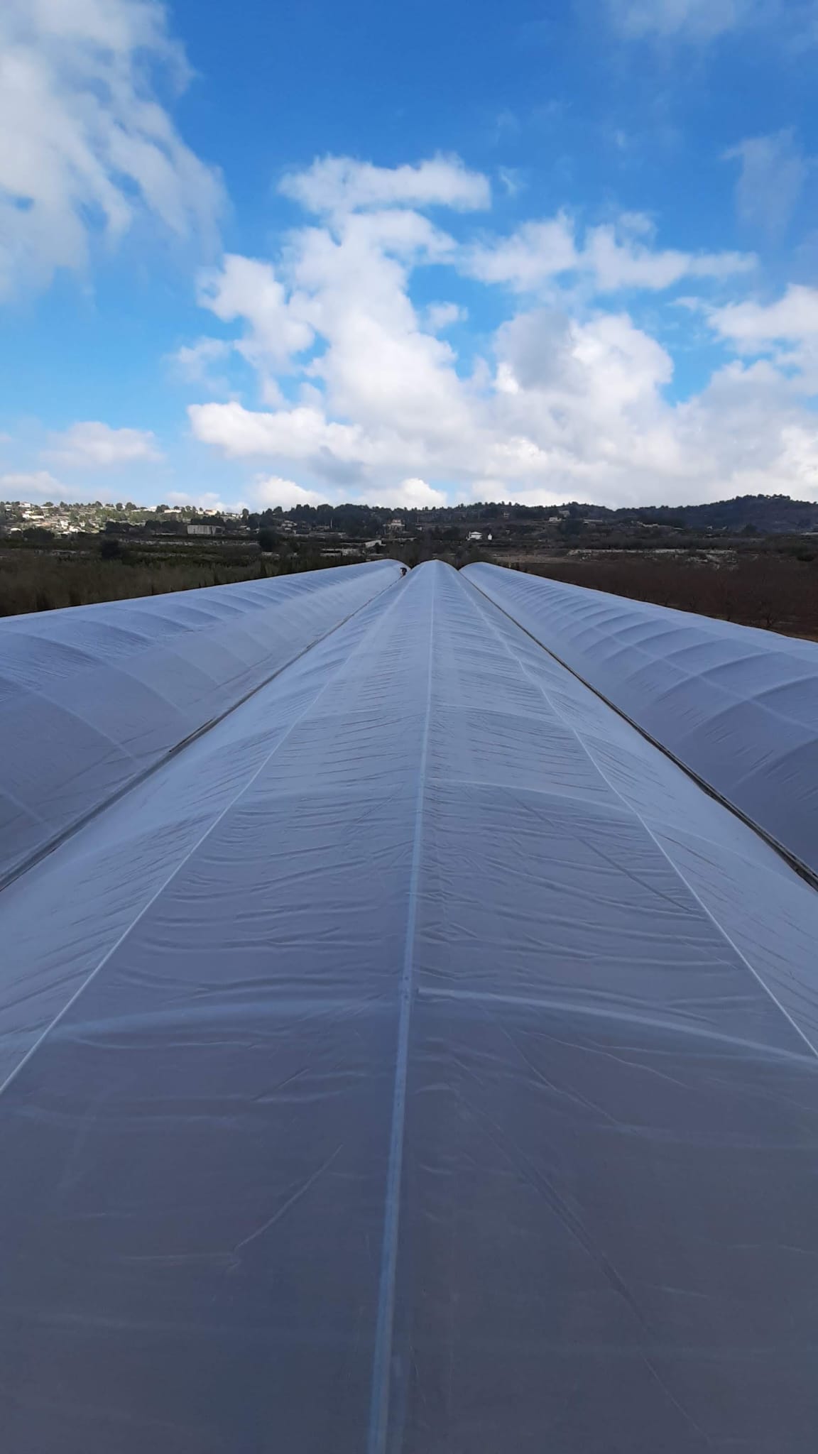 Construcción de invernaderos en Castellón