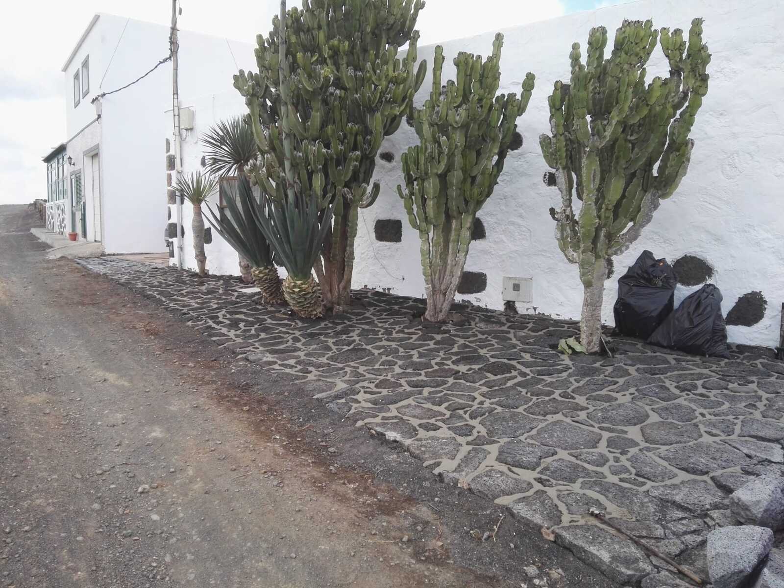 Suelo rústico (8)