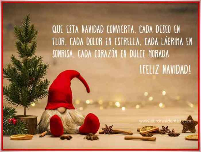 FELICES FIESTAS