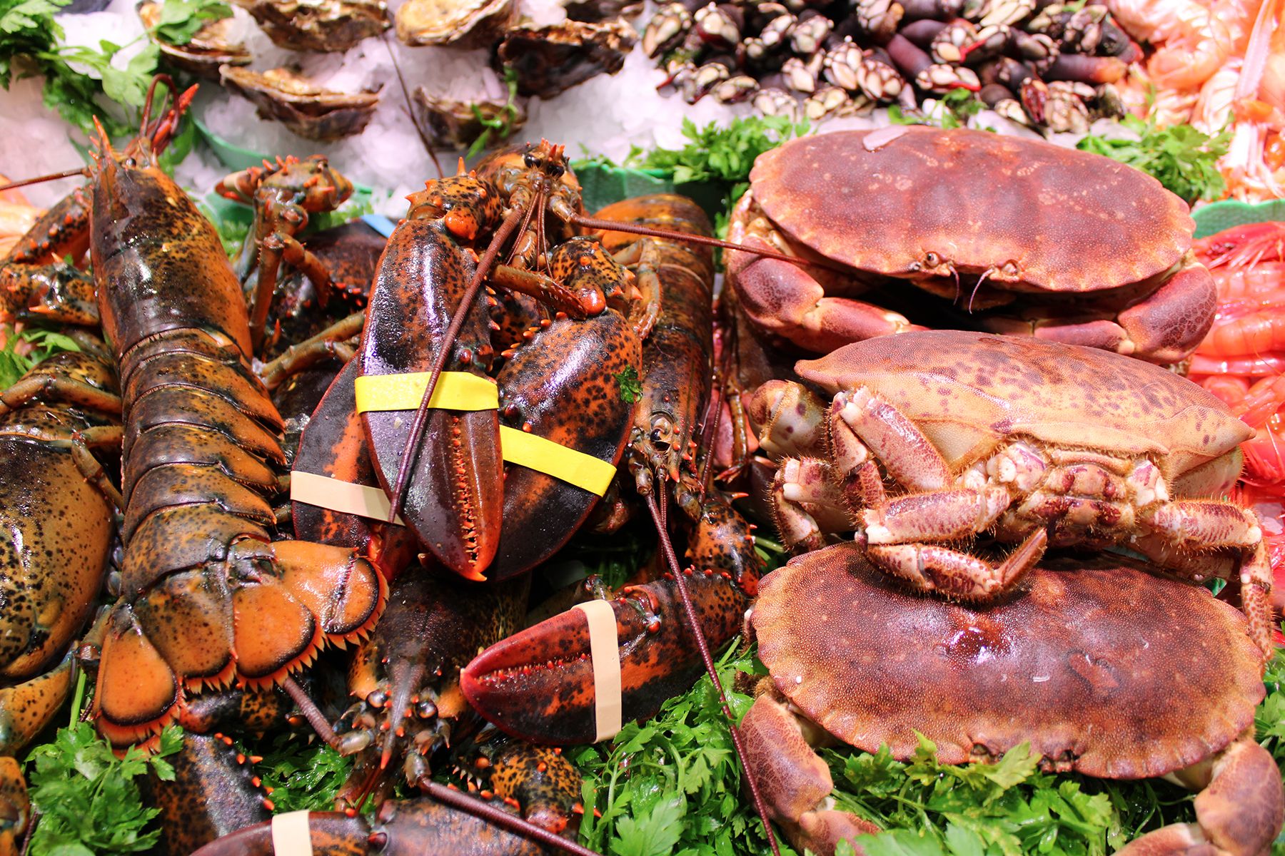 Llévate el mejor pescado y marisco fresco de la zona