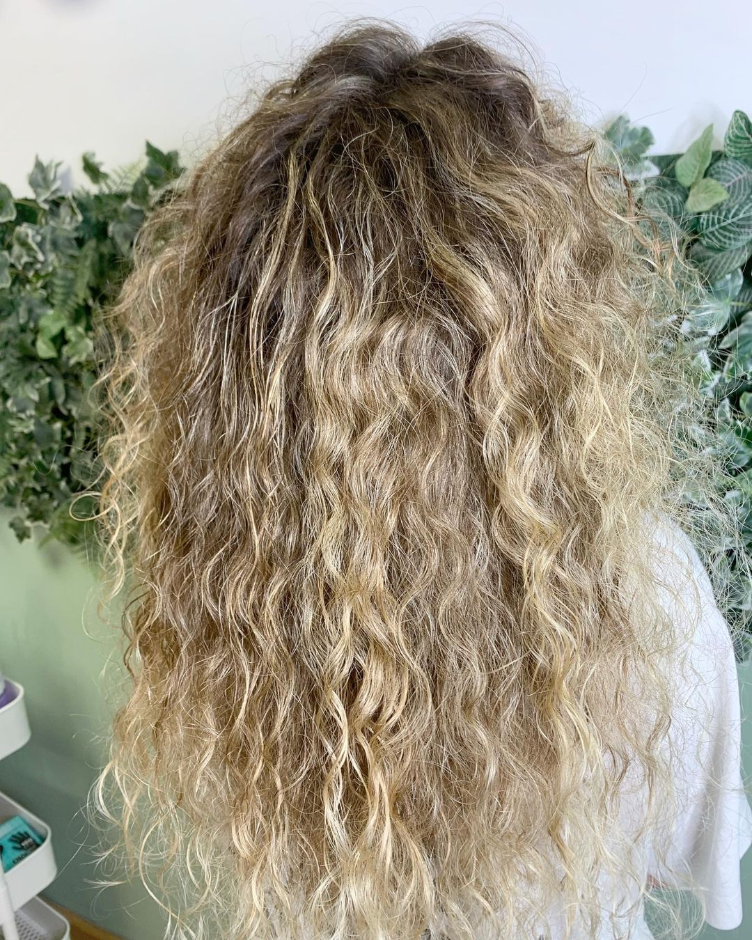 Peluquería curly