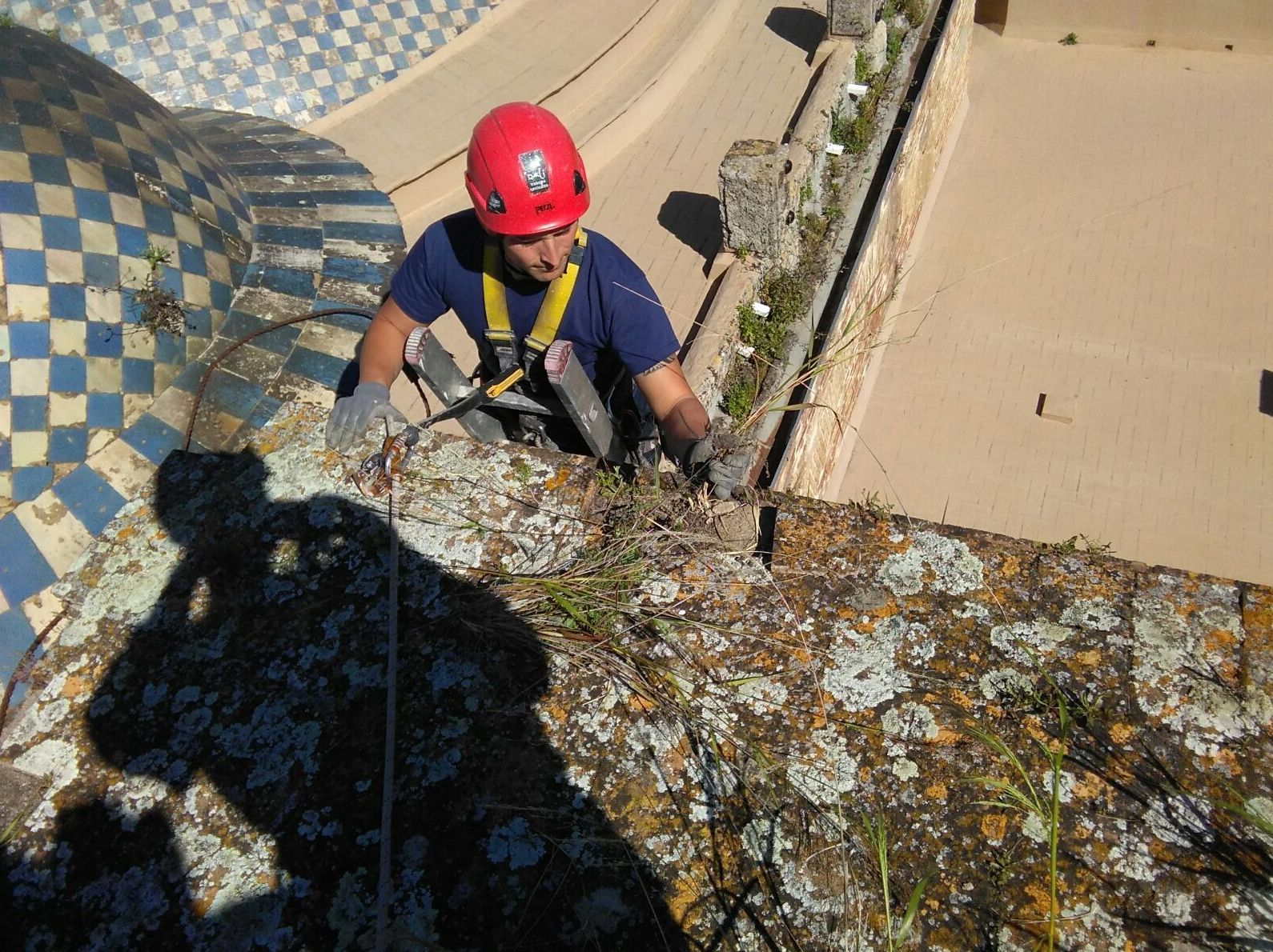 Trabajos verticales Sevilla | Dali Trabajos Verticales