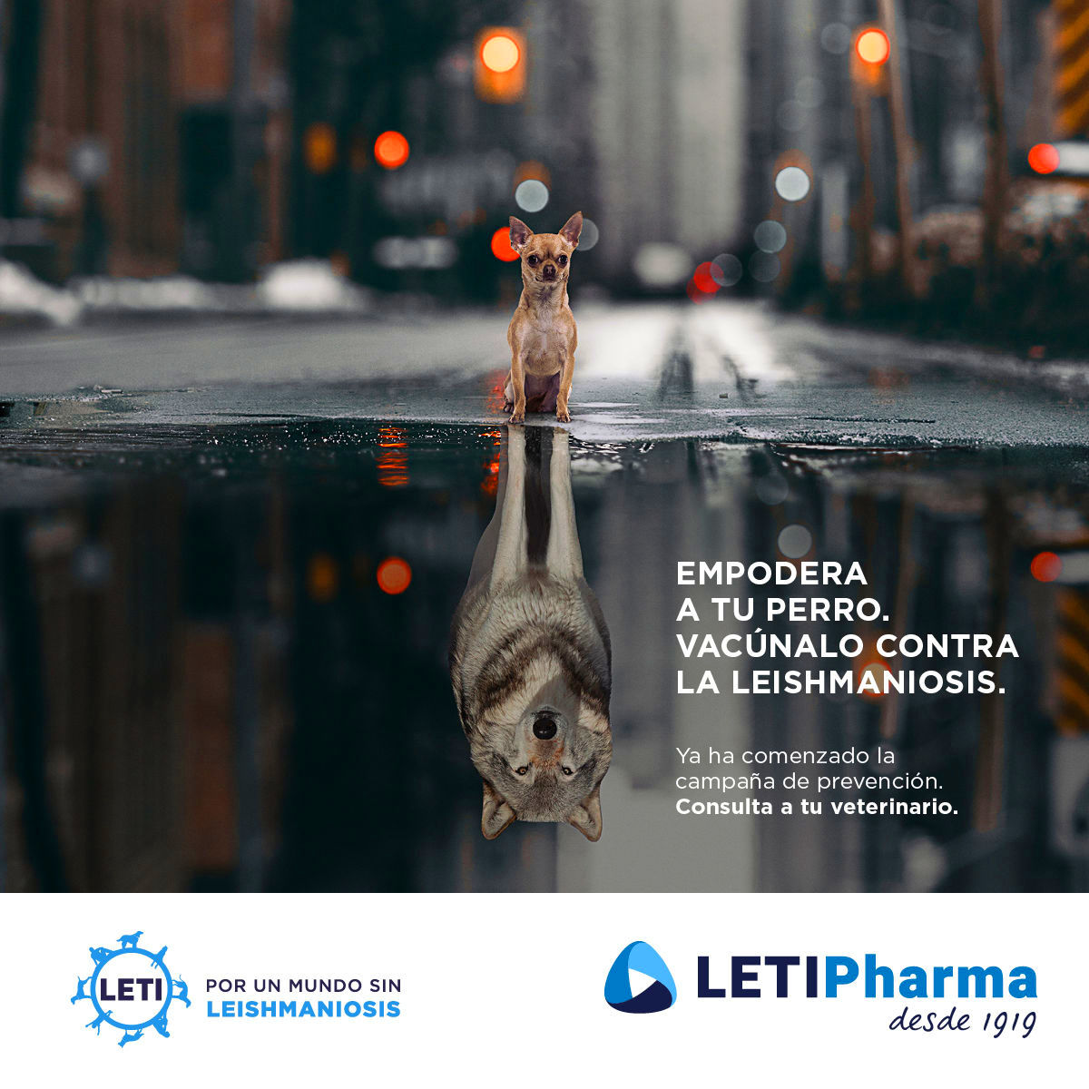 CAMPAÑA LEISHMANIA: VACUNALO