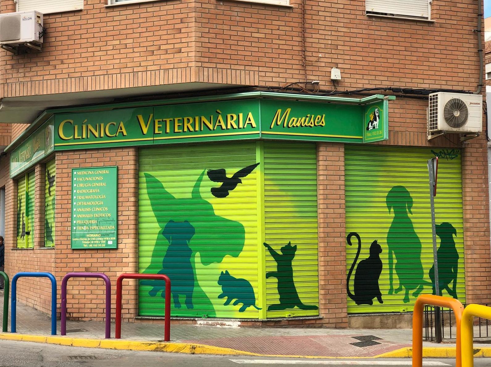 clinica veterinaria manises