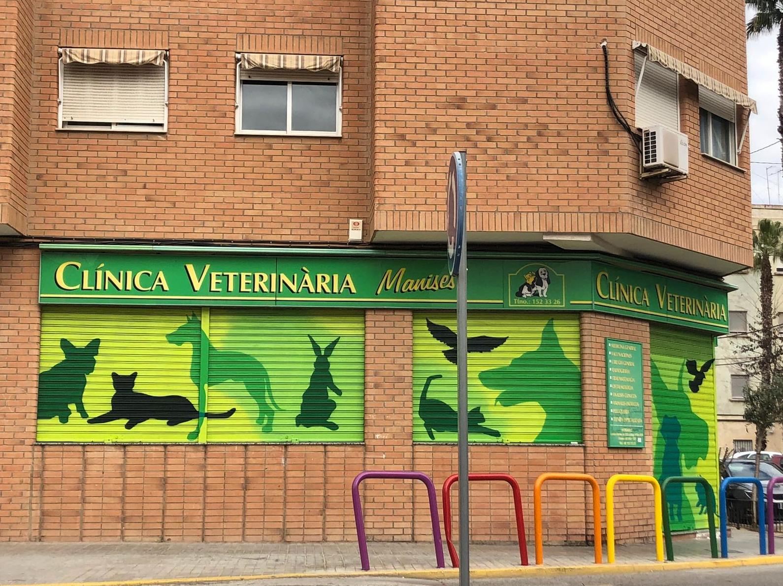 clinica veterinaria manises