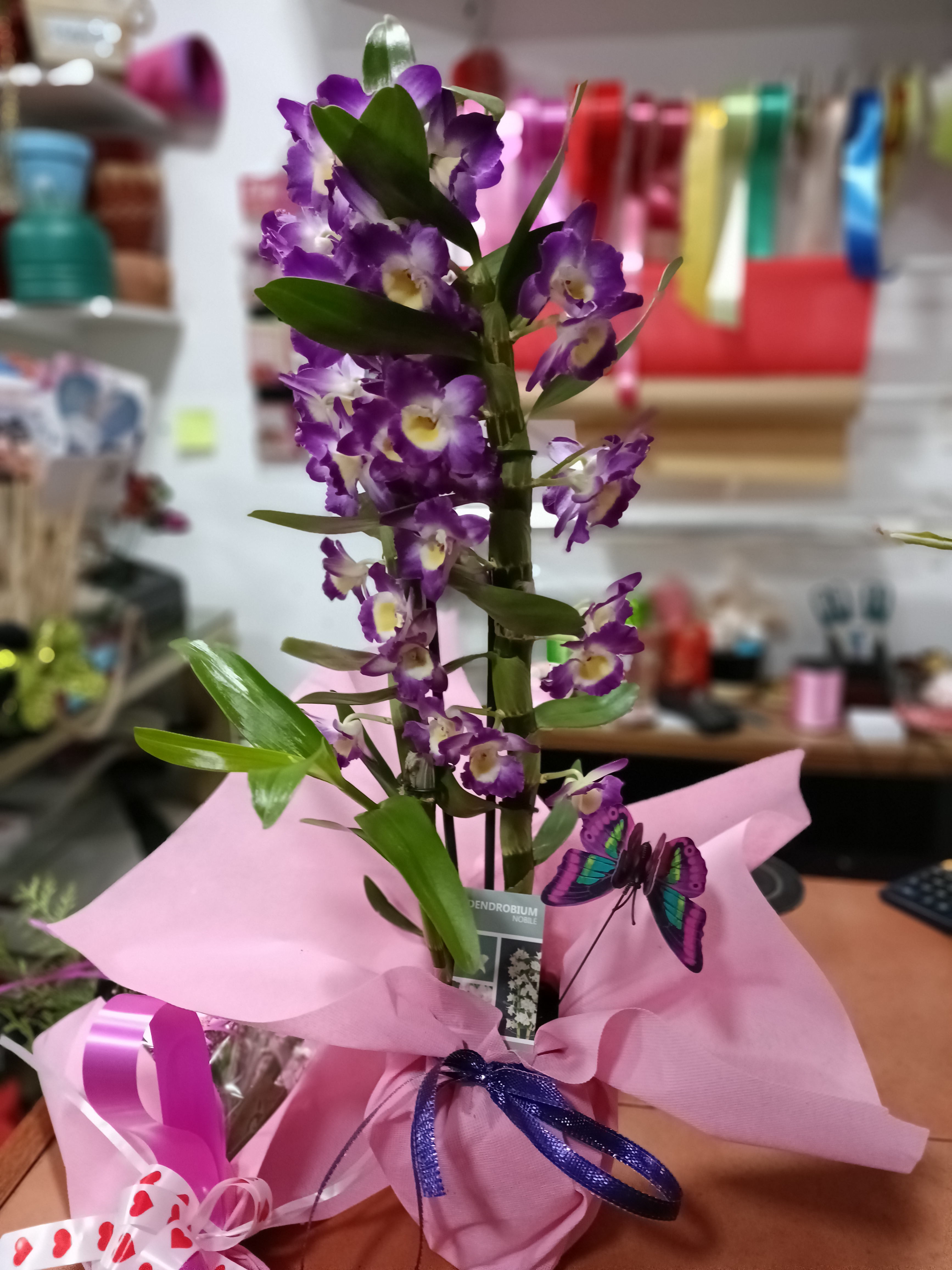 Especialidad en orquídeas