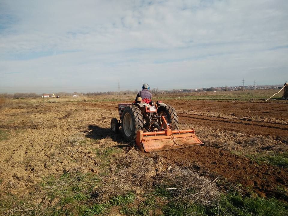 Conoce nuestro huerto y compra verdura ecológica en Las Tablas