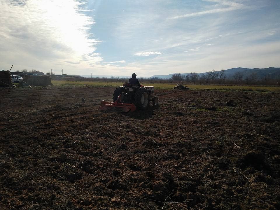 Verduras y frutas ecológicas en Latina