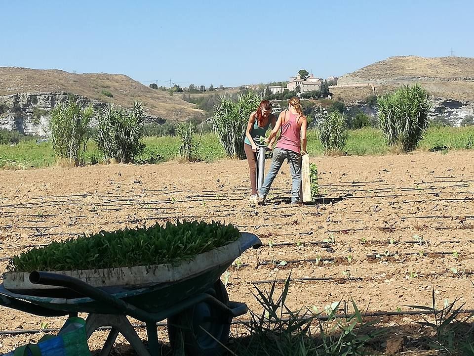 Agricultura ecológica en Latina