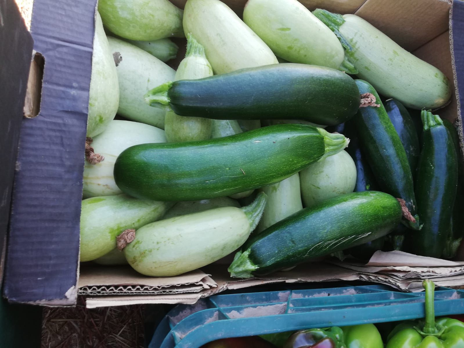 Venta de fruta y verdura ecológica en Velilla de San Antonio, Madrid