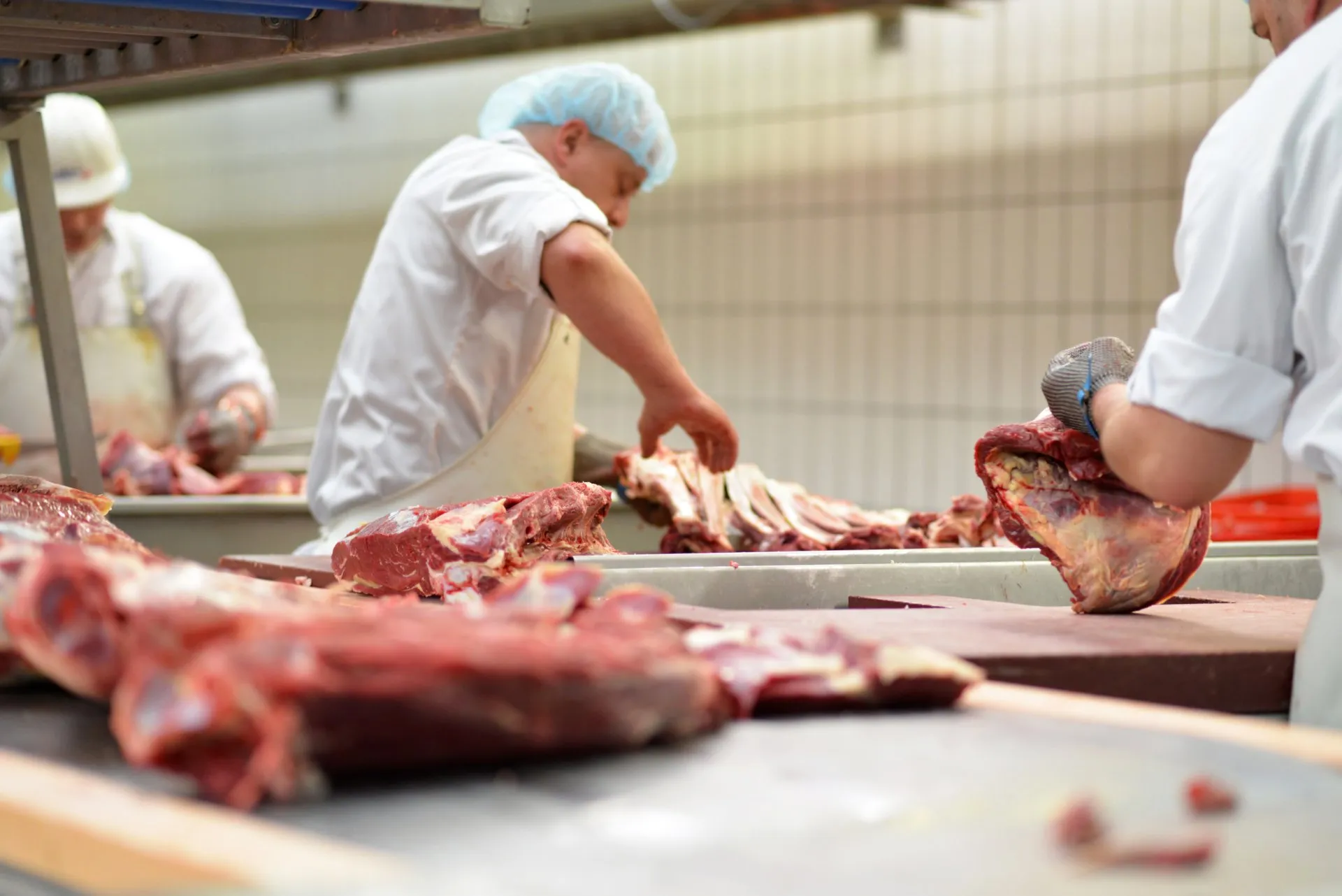 Dónde comprar carne de calidad online en Vizcaya