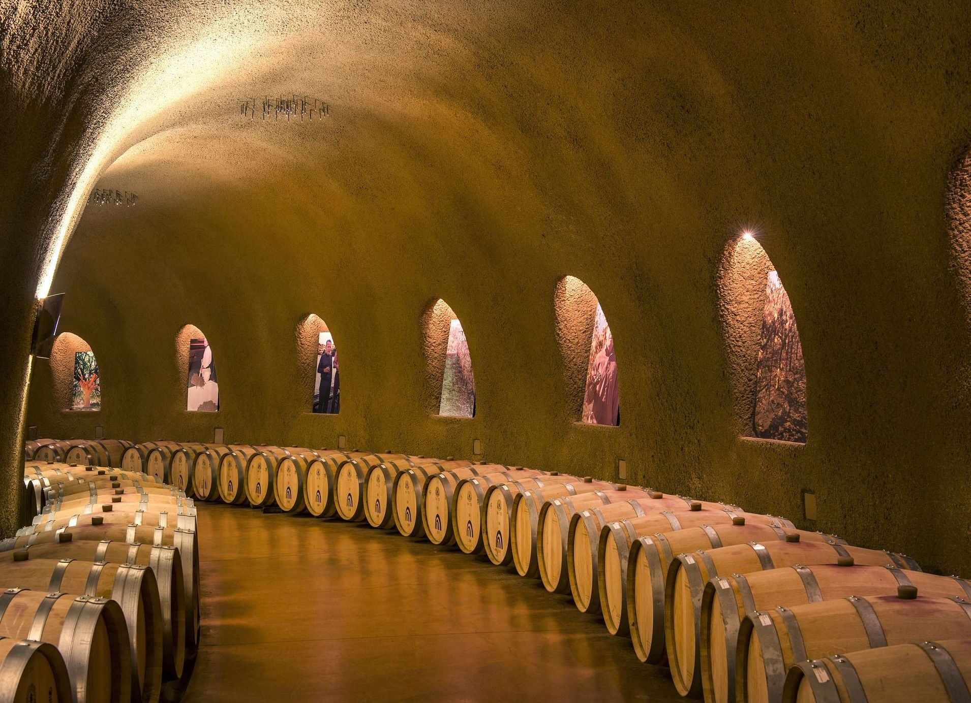 Climatización de bodegas en Zaragoza