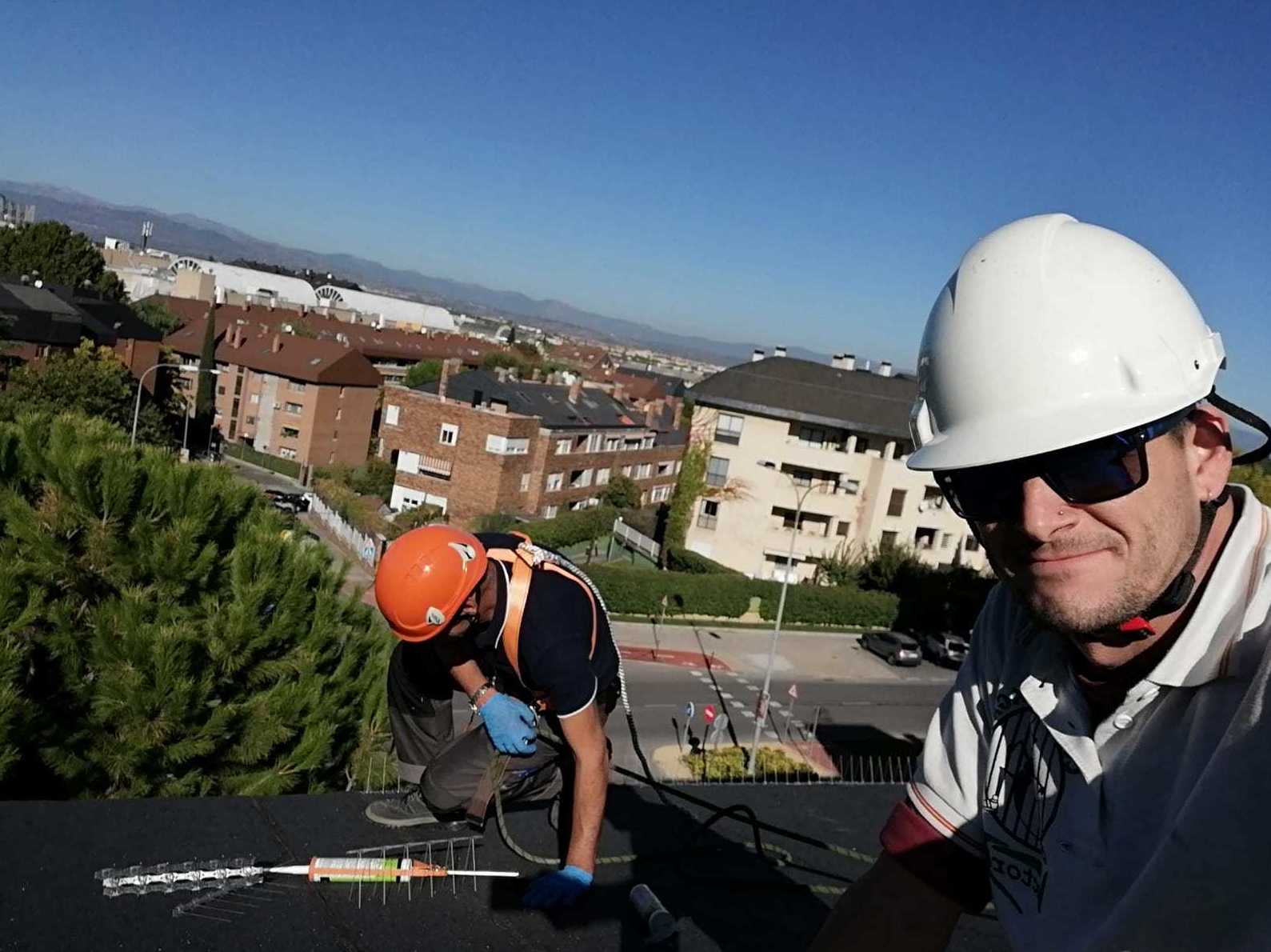 Control de aves- Instalación de púas