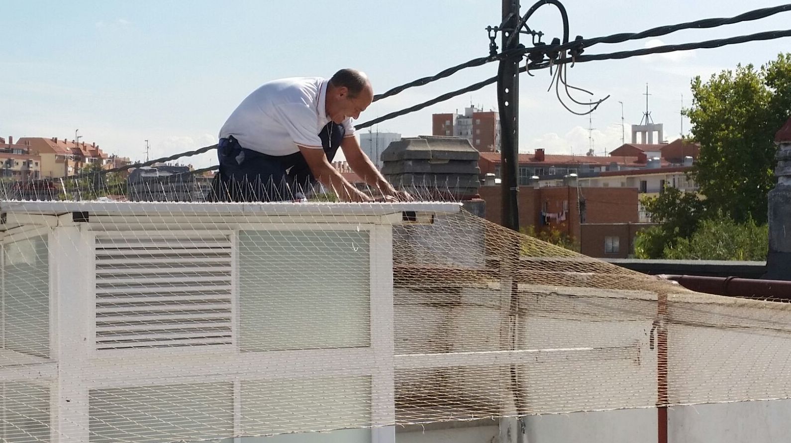 Tratamiento de Palomas, instalación de redes