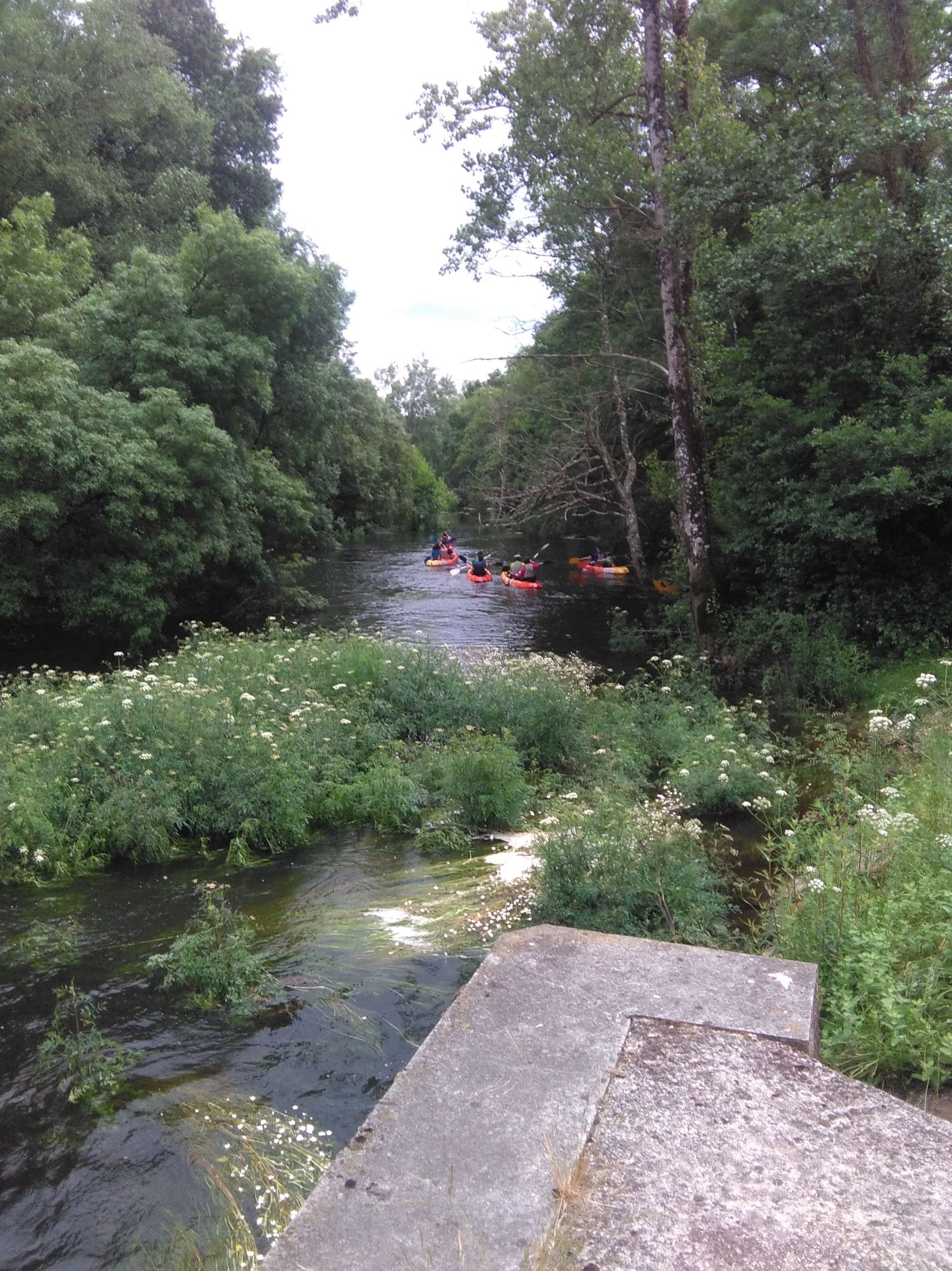 Rutas en kayak en Lugo