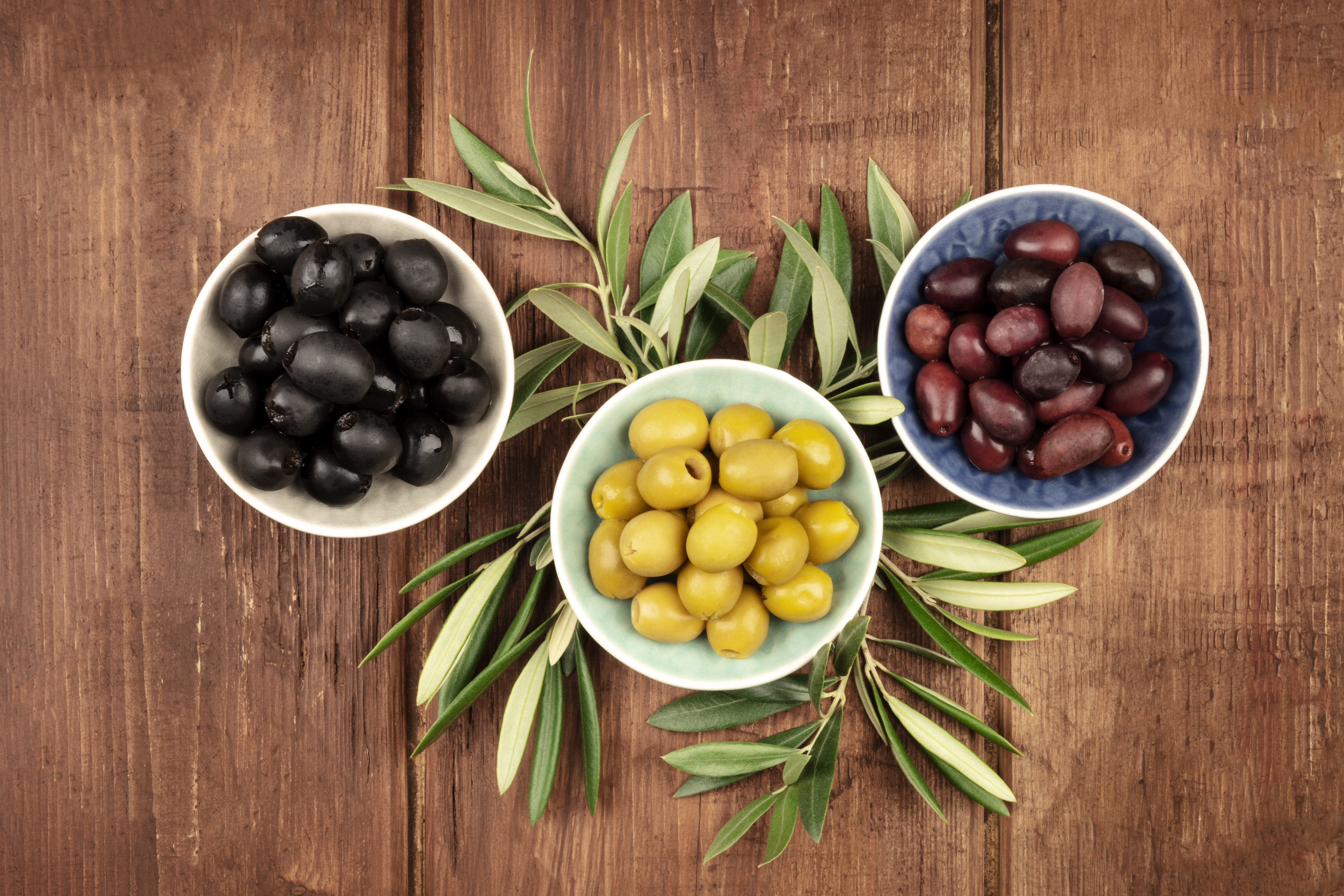 Aceituna de mesa para fabricantes