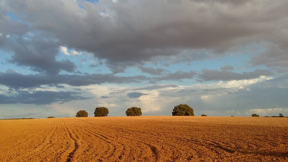 Fincas para bodas en Albacete