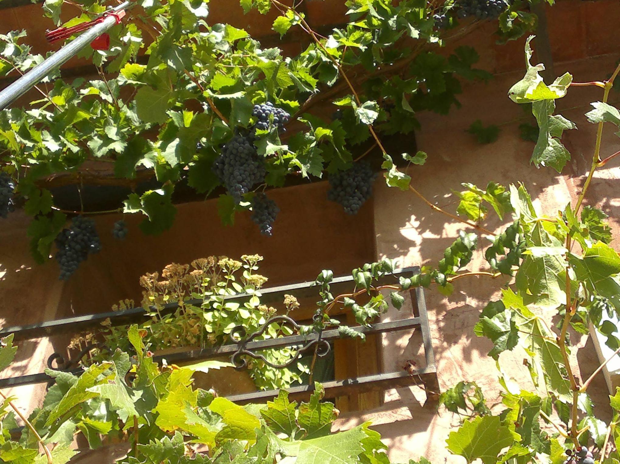 casas rurales en Gea de Albarracín