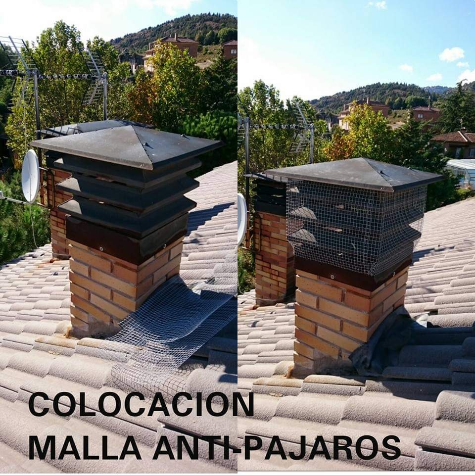 Colocación mallas anti-pájaros