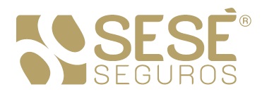 SESÉ SEGUROS