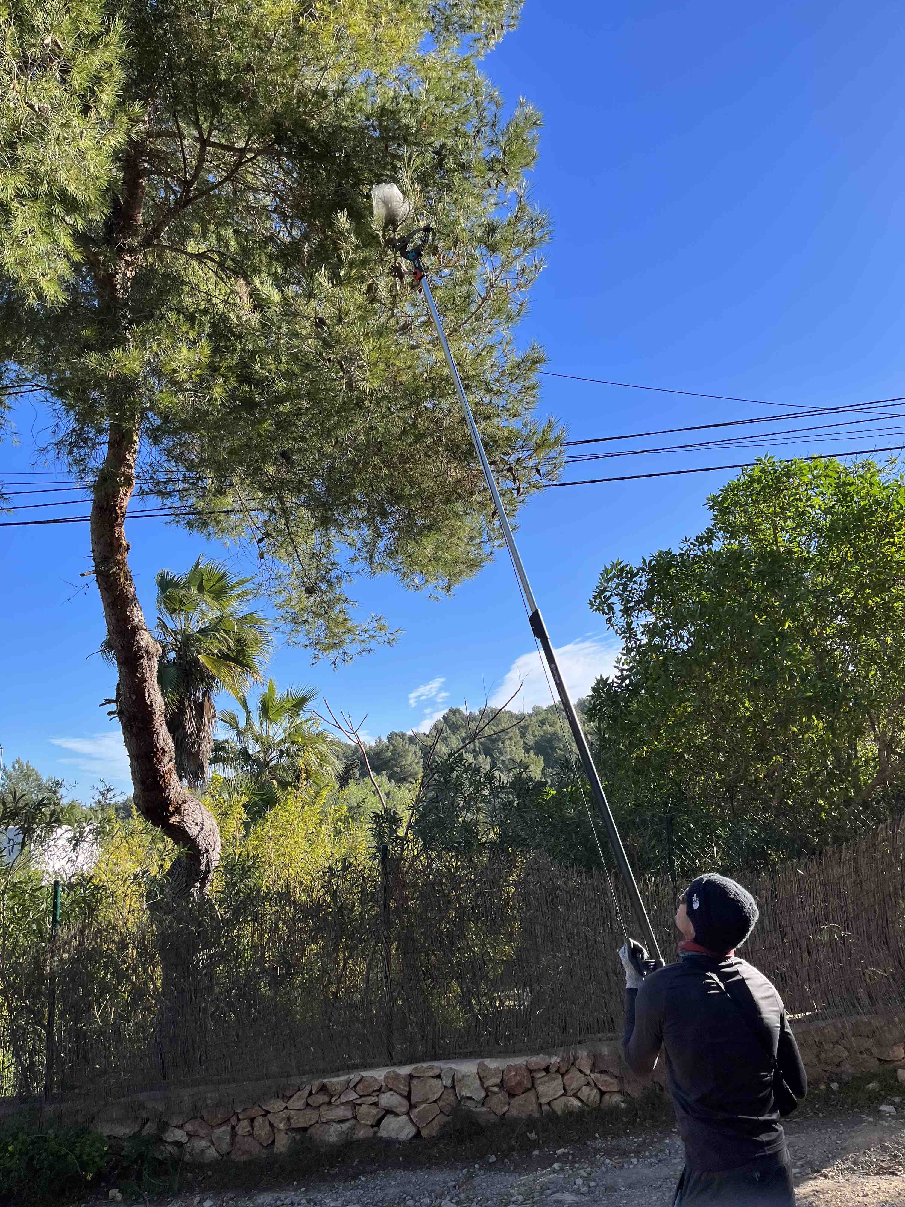 Trabajos forestales en Mallorca