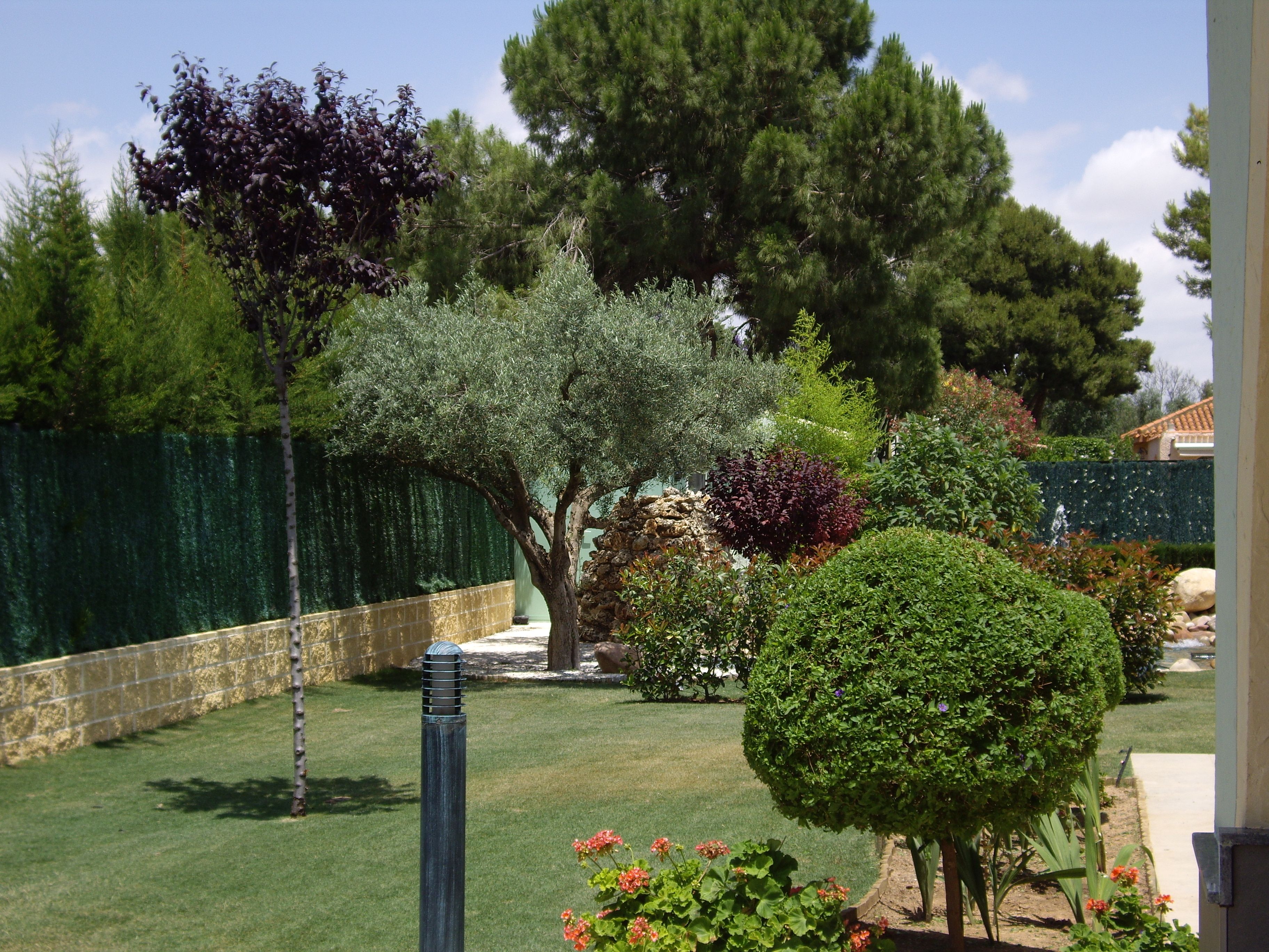 Especializados en jardinería mediterránea