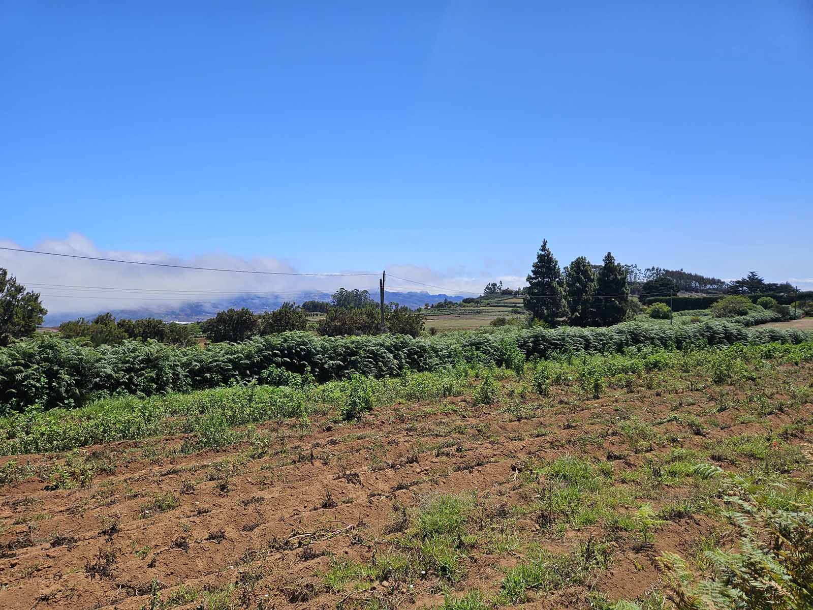 Quiero vender mi apartamento en Tenerife