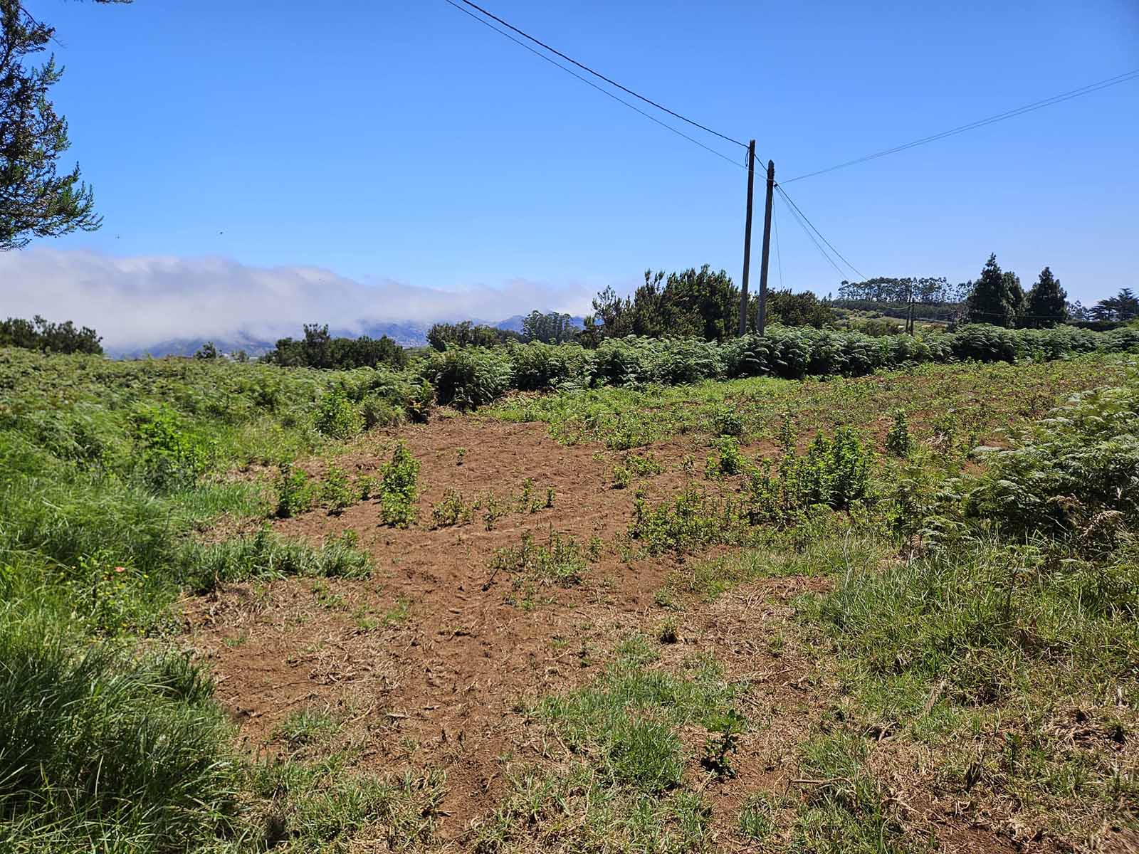 Necesito vender mi casa en La Laguna